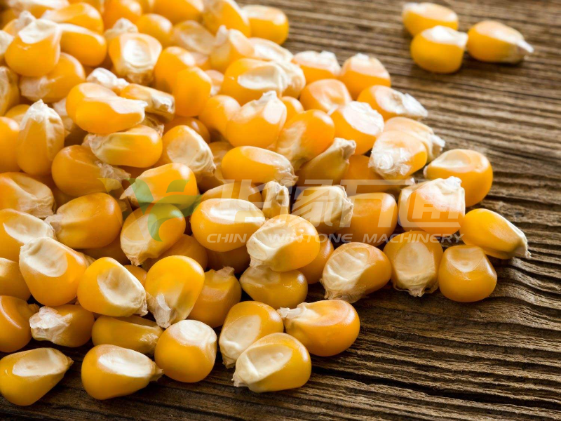 東北膠質玉米 東北膠質玉米